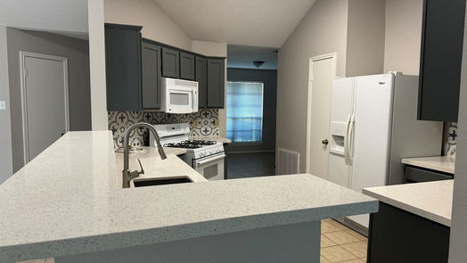 Houston 1-story, 3-bed 13422 S Somersworth Drive-idx