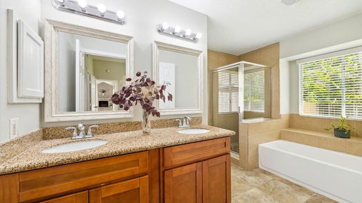 Houston 1-story, 3-bed 13615 Harpers Bridge Drive-idx