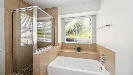 Houston 1-story, 3-bed 13615 Harpers Bridge Drive-idx
