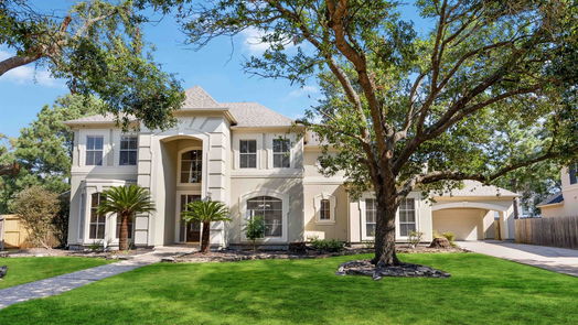 Houston 2-story, 4-bed 13438 Amber Queen Lane-idx