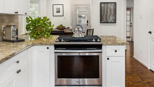 Houston 2-story, 4-bed 103 Blue Willow Drive-idx