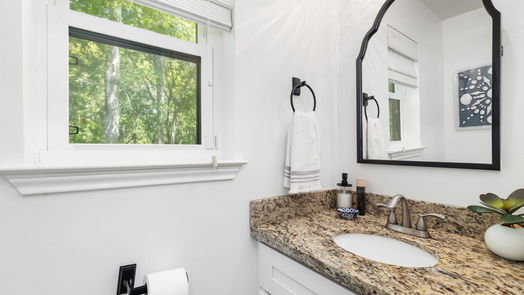 Houston 2-story, 4-bed 103 Blue Willow Drive-idx