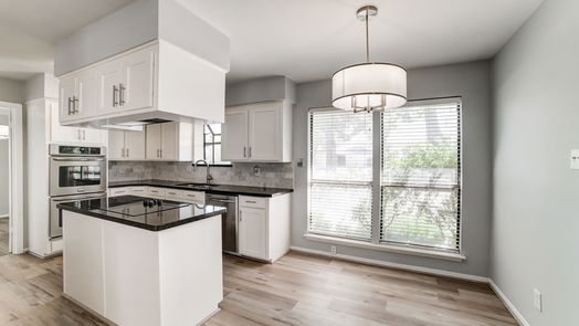 Houston 1-story, 3-bed 10003 Locke Lane-idx