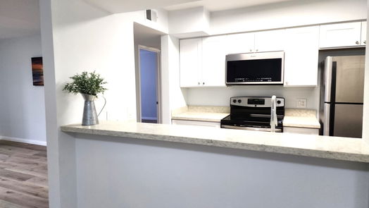 Houston 2-story, 2-bed 3055 Walnut Bend Lane 25-idx
