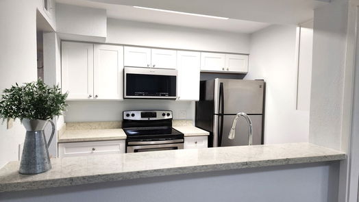 Houston 2-story, 2-bed 3055 Walnut Bend Lane 25-idx