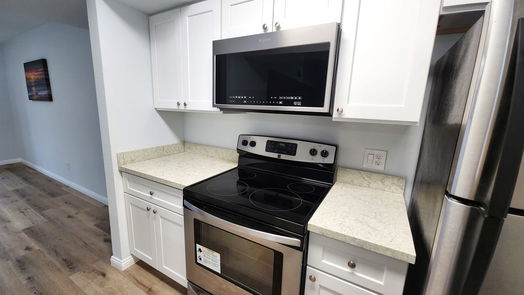 Houston 2-story, 2-bed 3055 Walnut Bend Lane 25-idx
