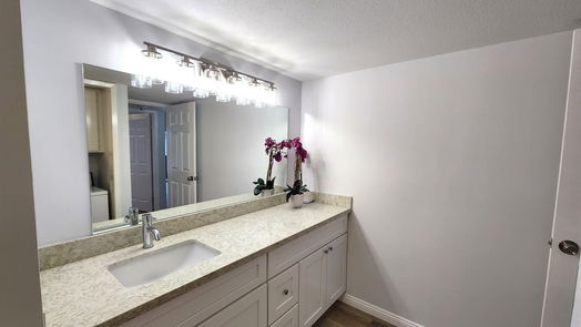 Houston 2-story, 2-bed 3055 Walnut Bend Lane 25-idx