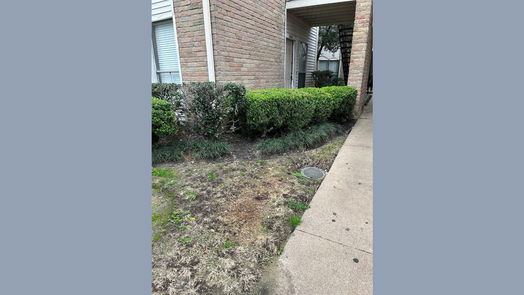 Houston 1-story, 1-bed 3745 Thistlemont Drive-idx