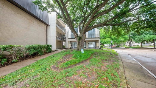 Houston 1-story, 2-bed 3005 Walnut Bend Lane 32-idx