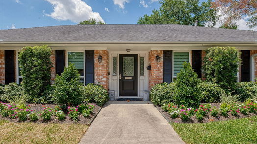 Houston 1-story, 4-bed 10118 Briar Forest Drive-idx