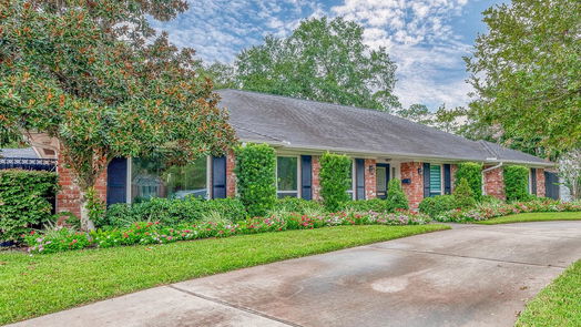 Houston 1-story, 4-bed 10118 Briar Forest Drive-idx