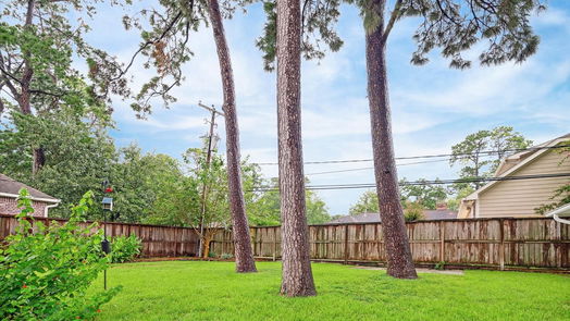 Houston 1-story, 3-bed 10019 Green Tree Road-idx