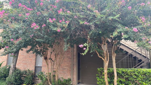 Houston 1-story, 2-bed 10051 Westpark Drive 241-idx