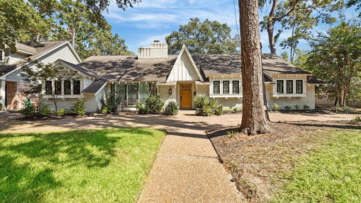 Houston 1-story, 4-bed 703 Briarpark Drive-idx