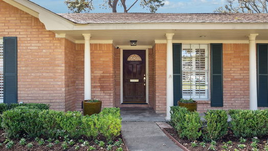 Houston 1-story, 3-bed 10043 Briar Rose Drive-idx