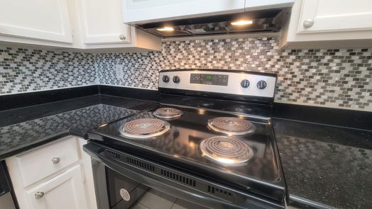 Houston 1-story, 2-bed 3100 Walnut Bend Lane 315-idx