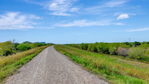 Houston 2-story, 4-bed 1219 Westwick Forest Lane-idx