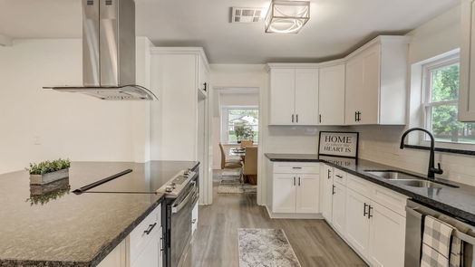 Houston 2-story, 4-bed 1439 Scenic Ridge Drive-idx