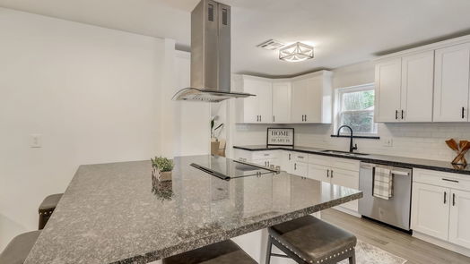 Houston 2-story, 4-bed 1439 Scenic Ridge Drive-idx