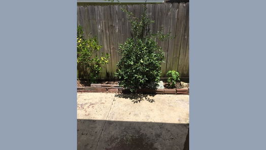 Houston 2-story, 2-bed 1220 Shadowdale Drive 17-idx