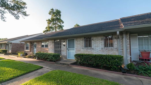 Houston 1-story, 2-bed 1104 W Tri Oaks Lane 117-idx