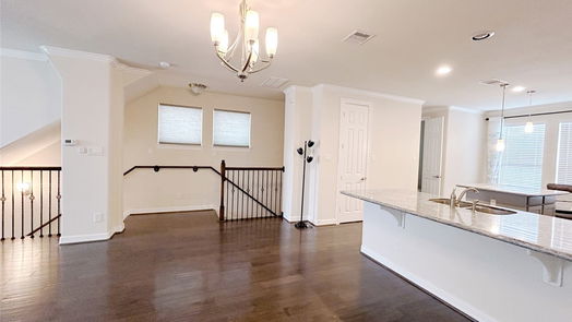 Houston 3-story, 4-bed 1513 Miles Oaks Place-idx