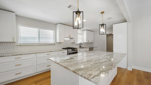 Houston null-story, 3-bed 2807 Quincannon Lane-idx