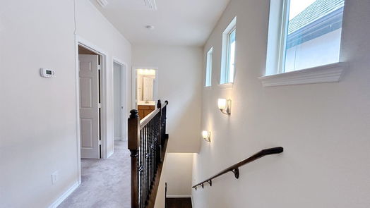 Houston 3-story, 4-bed 1513 Miles Oaks Place-idx