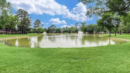 Houston 2-story, 4-bed 14302 Hartshill Drive-idx