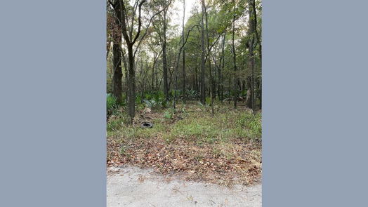 Houston null-story, null-bed 11653 Indian Oaks Lane-idx
