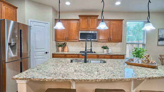 Houston 2-story, 4-bed 13510 Lake Willoughby Lane-idx