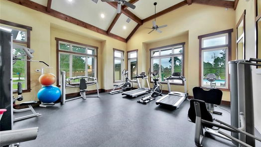Houston 2-story, 4-bed 13510 Lake Willoughby Lane-idx
