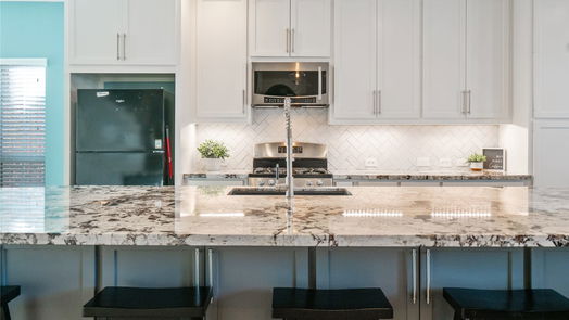 Houston 2-story, 4-bed 13027 Golden Water Court-idx