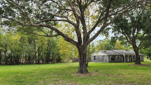 Houston 1-story, 4-bed 11714 Long Play Lane-idx