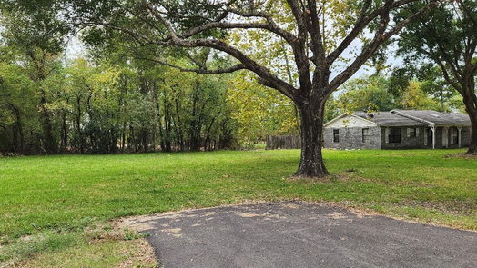 Houston 1-story, 4-bed 11714 Long Play Lane-idx