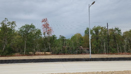 Houston 1-story, 4-bed 11714 Long Play Lane-idx