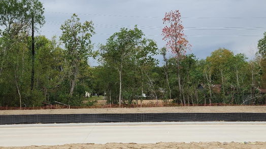 Houston 1-story, 4-bed 11714 Long Play Lane-idx