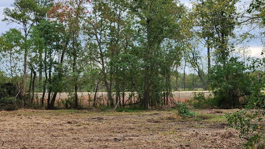 Houston 1-story, 4-bed 11714 Long Play Lane-idx