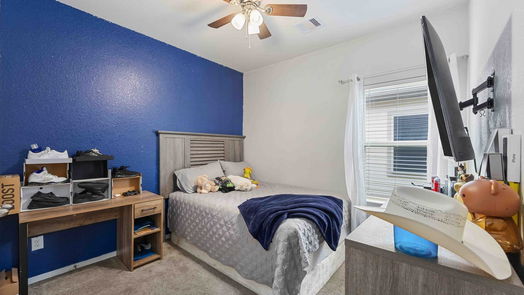Houston 1-story, 3-bed 13255 Liliana Glen Lane-idx