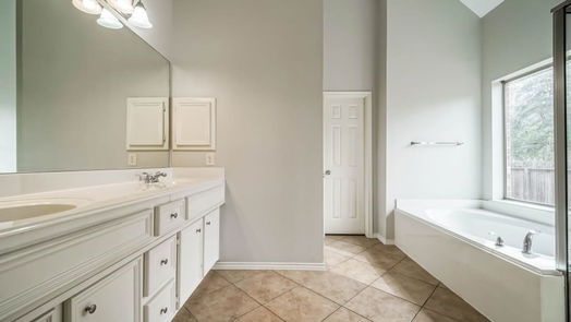 Houston 1-story, 4-bed 13011 Sweetgum Shores Drive-idx