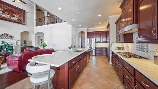 Houston 2-story, 6-bed 16314 Pelican Beach Lane-idx