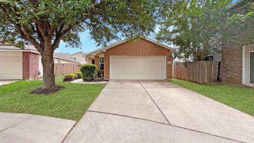 Houston 1-story, 3-bed 12806 Blue Timbers Court-idx