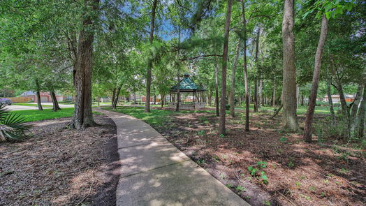 Houston 2-story, 4-bed 16235 Cascade Caverns Lane-idx