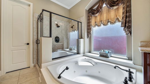 Houston 2-story, 4-bed 16235 Cascade Caverns Lane-idx