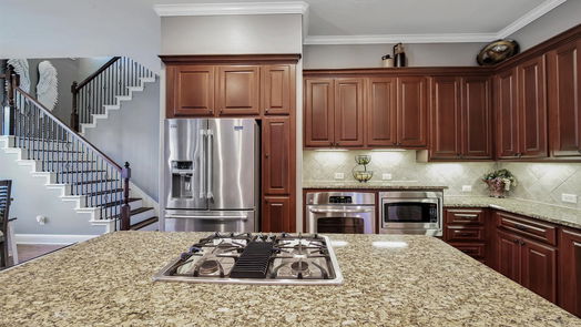 Houston 2-story, 4-bed 16235 Cascade Caverns Lane-idx