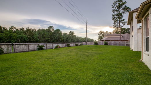 Houston 2-story, 4-bed 16347 Cascade Caverns Lane-idx