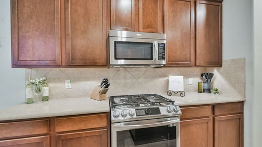 Houston 2-story, 4-bed 13507 Summer Villa Lane-idx