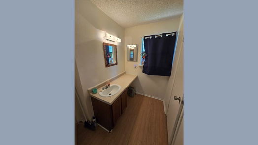 Houston 2-story, 3-bed 11814 Padok Road-idx