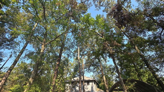Houston 2-story, 3-bed 11814 Padok Road-idx