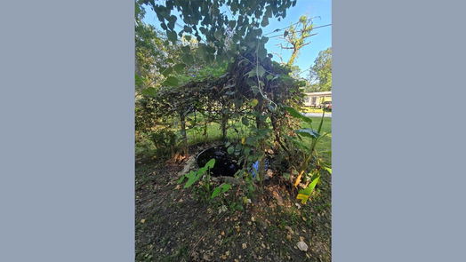 Houston 2-story, 3-bed 11814 Padok Road-idx